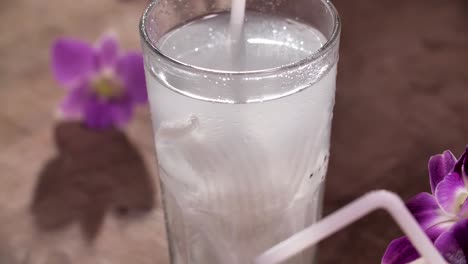 Fresh-Coconut-Juice-with-Pulp,-Close-Up