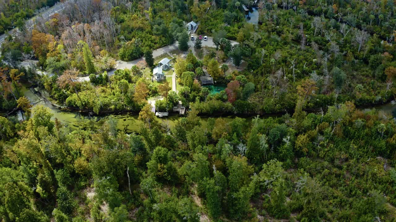 Crystal-blue spring water encircling a dense subtropical forest near Pitt and Sylvan Springs, Florida, where winding river channels and open clearings create a striking balance between wilderness