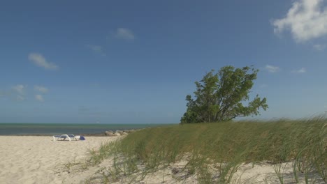 Key-West-Strand-Liegestuhl-Baum-Sand-Gras-Ozean-Blauer-Himmel