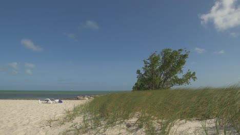 key west beach lounge chair tree sand grass ocean blue sky