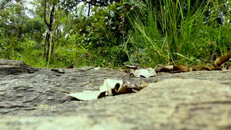 West-Pokot-hills-Kenya