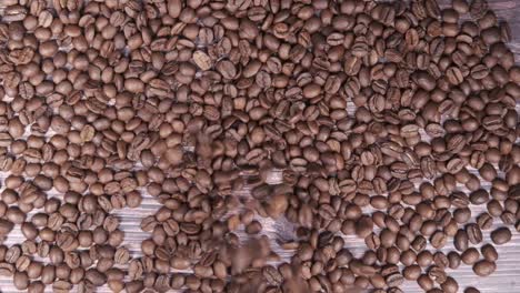 granos de café tostados
