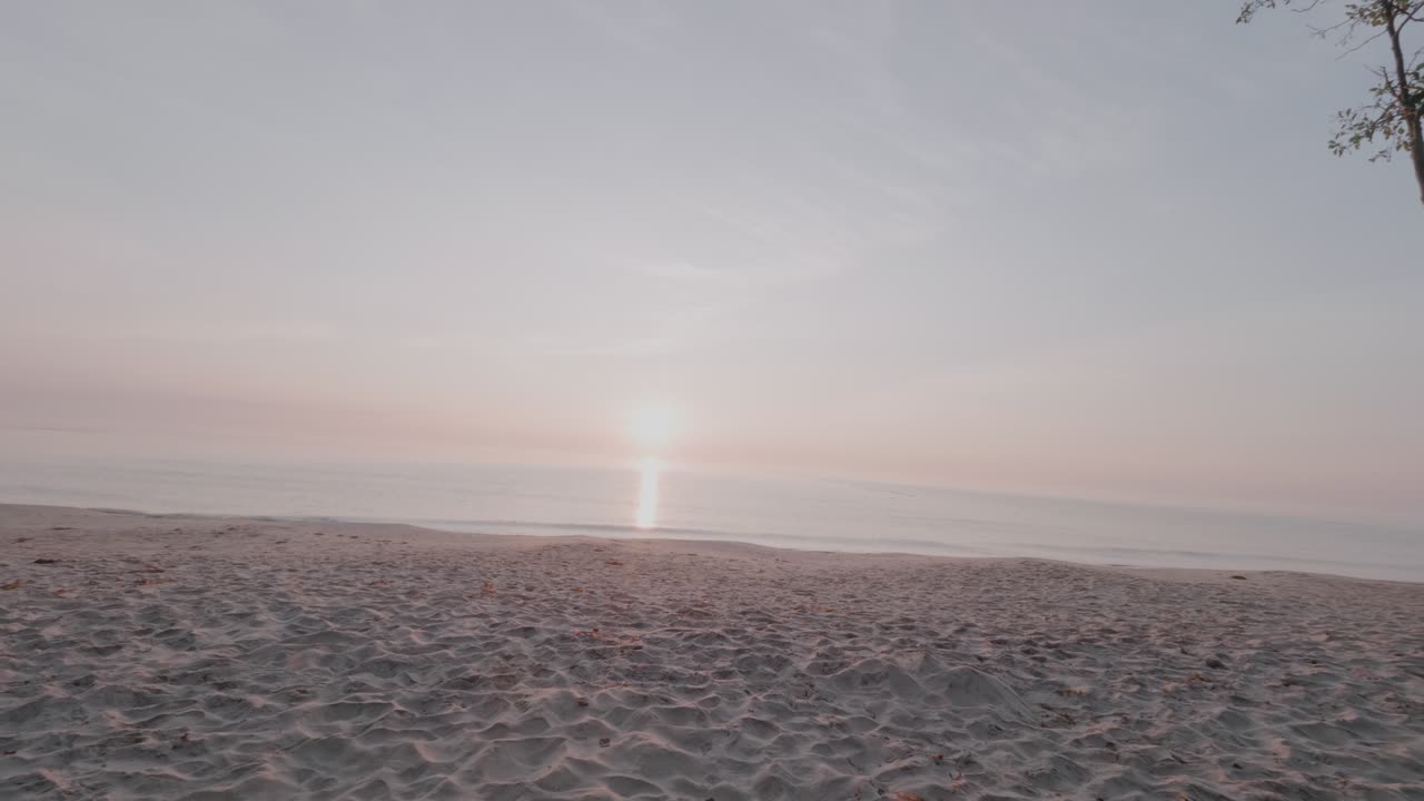 desde el amanecer hasta un árbol solitario en la playa de knäbäckshusen en el sur de suecia österlen, toma panorámica a la derecha