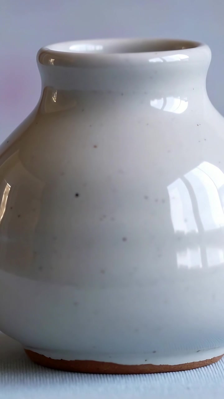 Video verticale: Telecamera che si stabilizza con uno zoom sottile al centro vicino alla finestra, vaso bianco con base in argilla