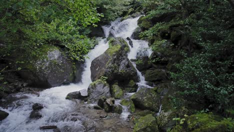 water falling through the rainforest