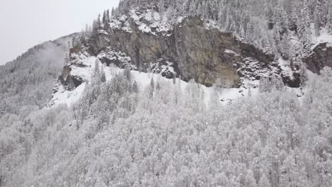 the camera tilts up from a forest to a mountain in switzerland