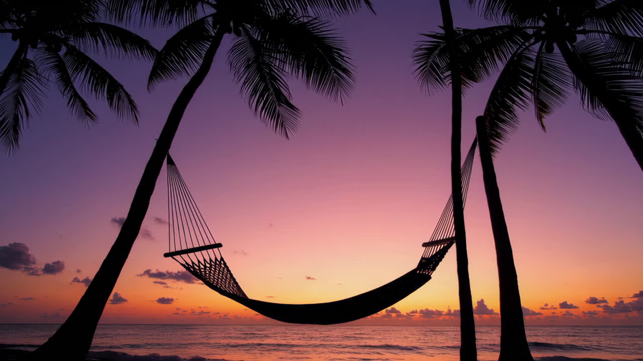 Hammock between palm trees at sunset