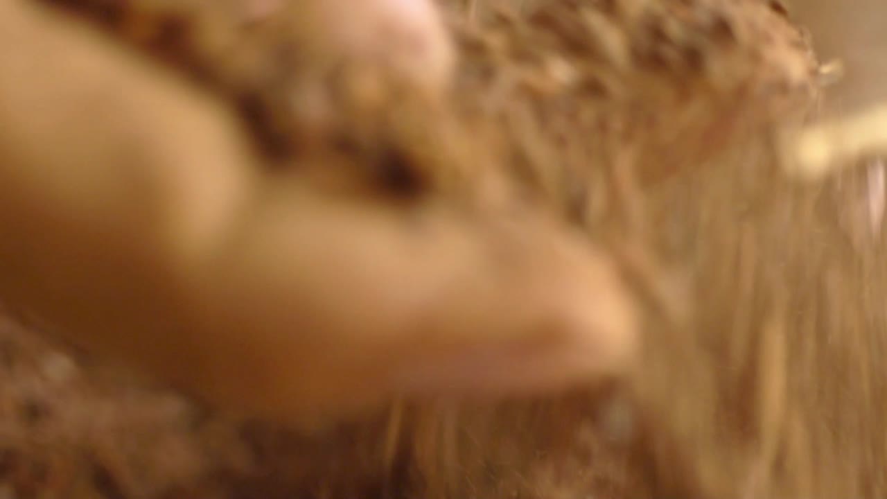 Macro Shot Of Organic Madder Powder, Made Of Plant Roots In Traditional Pakistan Culture