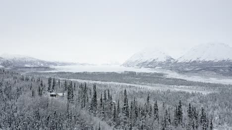 Drone-flies-over-forest-and-cabin-in-Glacier-View-Alaska