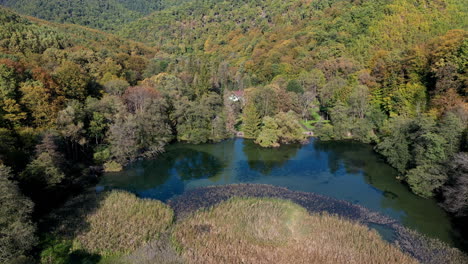 volando sobre el lago otoño