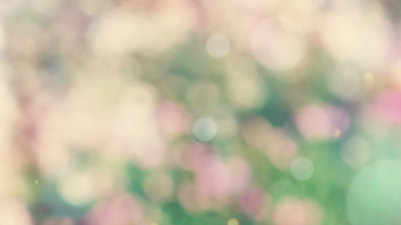 보케와 함께 추상적인 스프링 배경