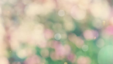 fondo de resorte abstracto con bokeh