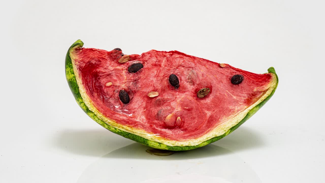 un pedazo de sandía madura podrida sobre un fondo blanco, lapso de tiempo, video cognitivo educativo