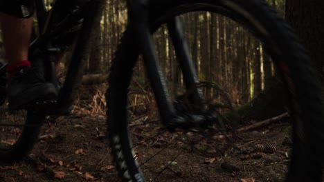 Low-angle-close-up-shot,-wheels-of-a-downhill-bike-on-a-forest-mountain-trail