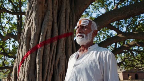 elderly indian male in pristine white clothing standing near sacred tree marked with crimson ribbon, representing cultural spiritual connection and traditional reverence