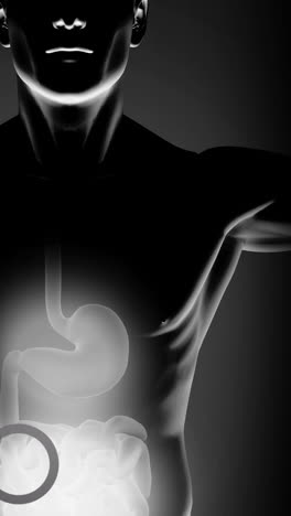 animación de formas que caen sobre el modelo del cuerpo humano
