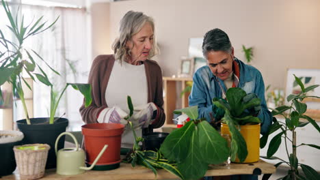 senior women gardening together