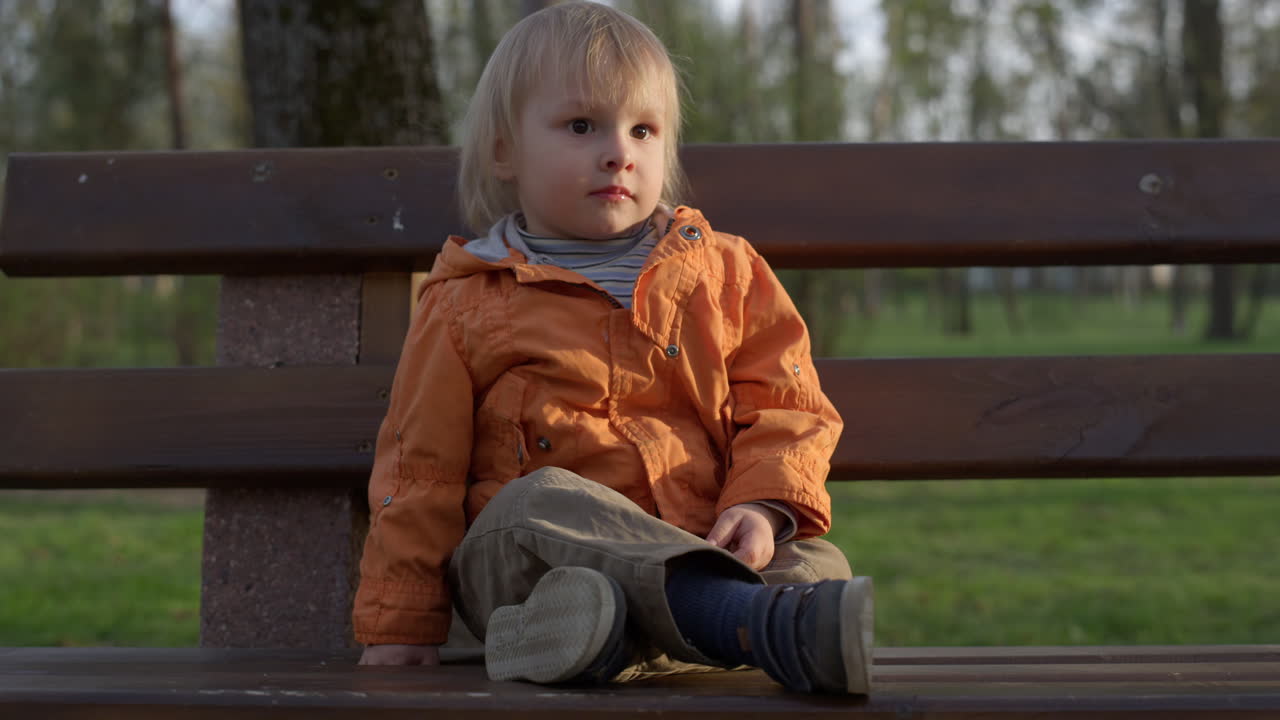Portrait of little boy sitting on bench in park. Cute kid spending time outside.