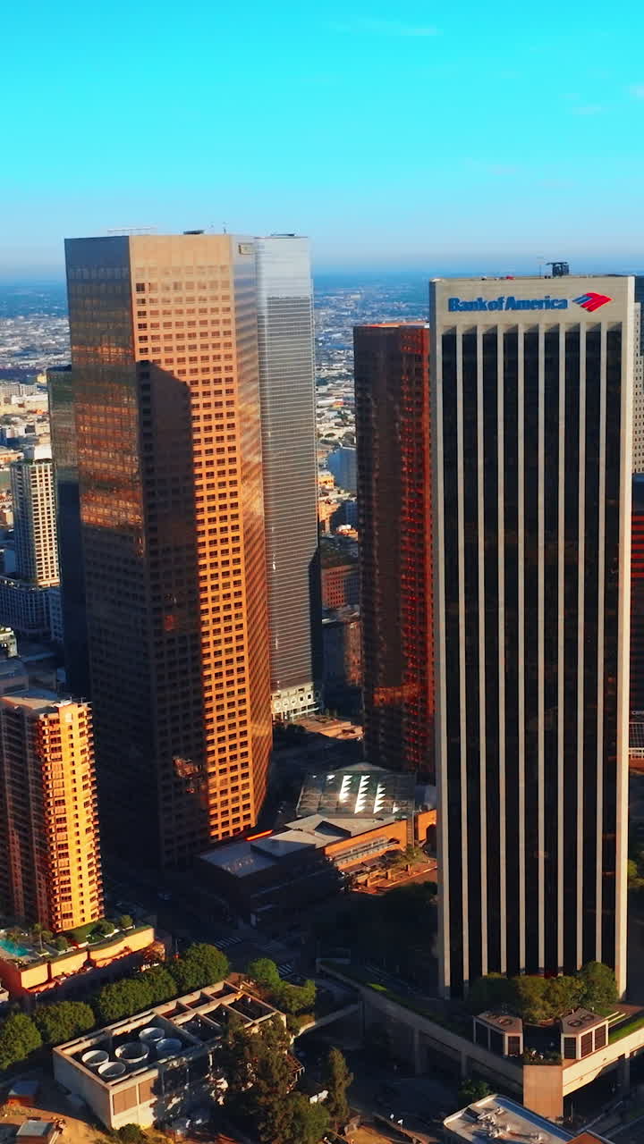 Footage at the level of skyscrapers of sunny Los Angeles. Contemporary diverse buildings at the backdrop of low architecture of the city. Vertical video