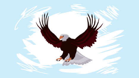 bald eagle in flight