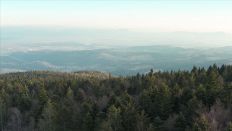 Paisaje-Perfecto-De-Copas-De-árboles-De-Coníferas-Con-Cadenas-Montañosas-En-El-Fondo