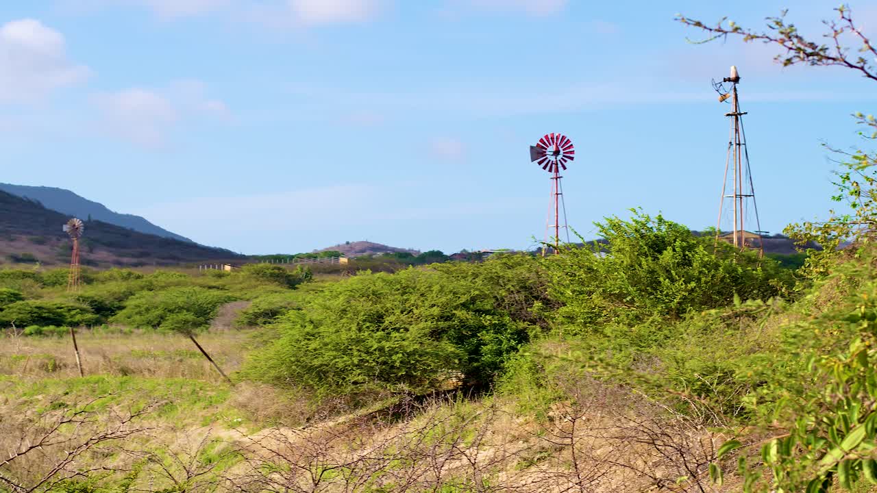 카리브해의 시골 농장  ⁇ 에서 서서 회전하는 풍력  ⁇ 프의 4k 60fps 패닝  ⁇