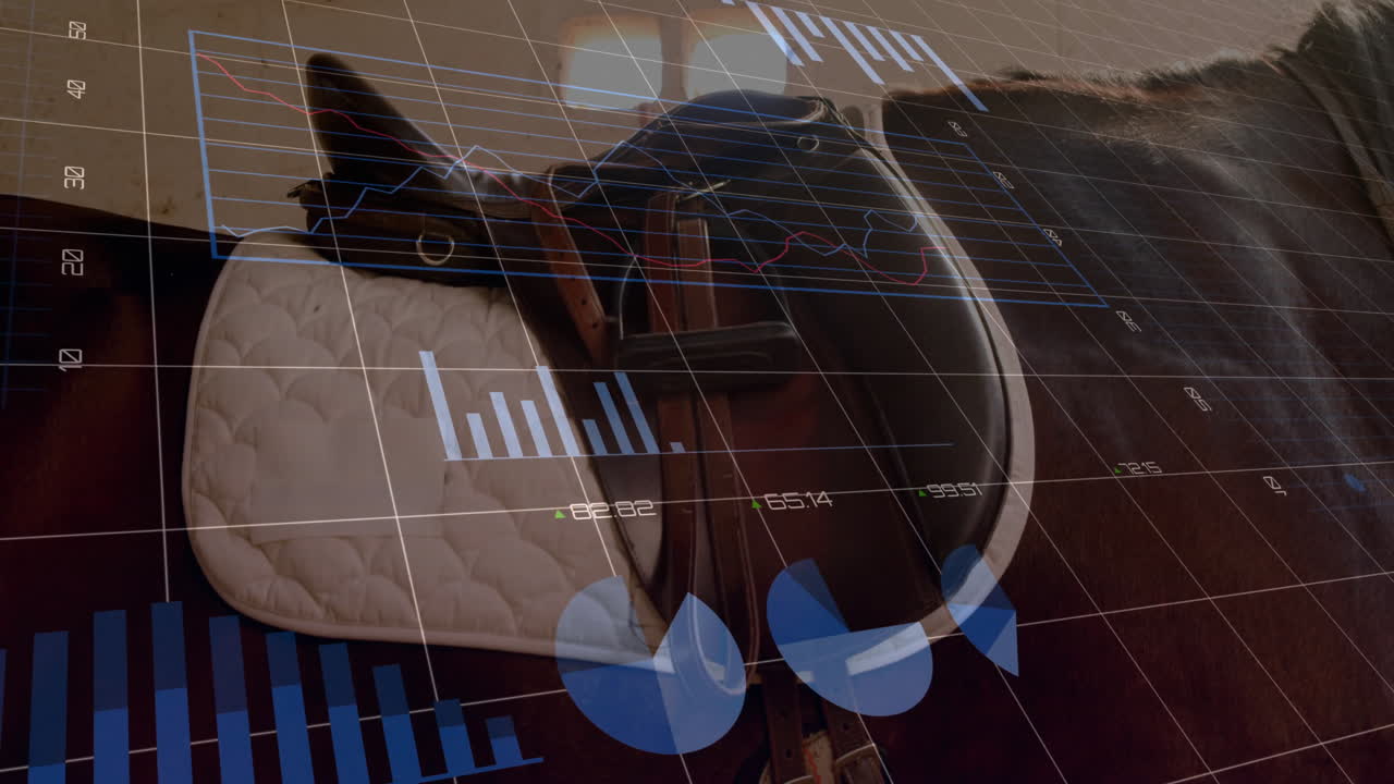 Data analytics animation over horse with saddle in stable setting