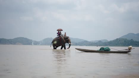 elephant ride on a lake