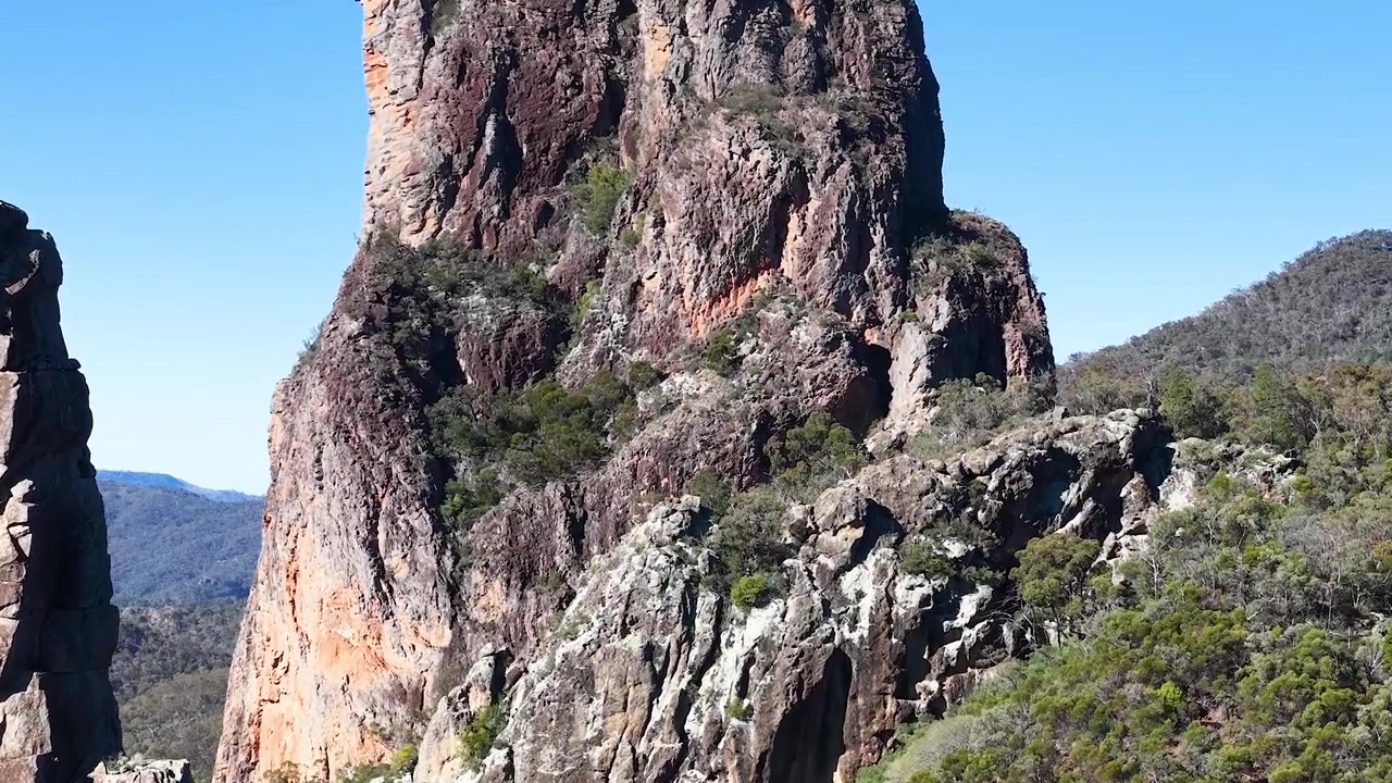 Un águila audaz vuela sobre formaciones rocosas volcánicas bajo un cielo azul claro en Australia