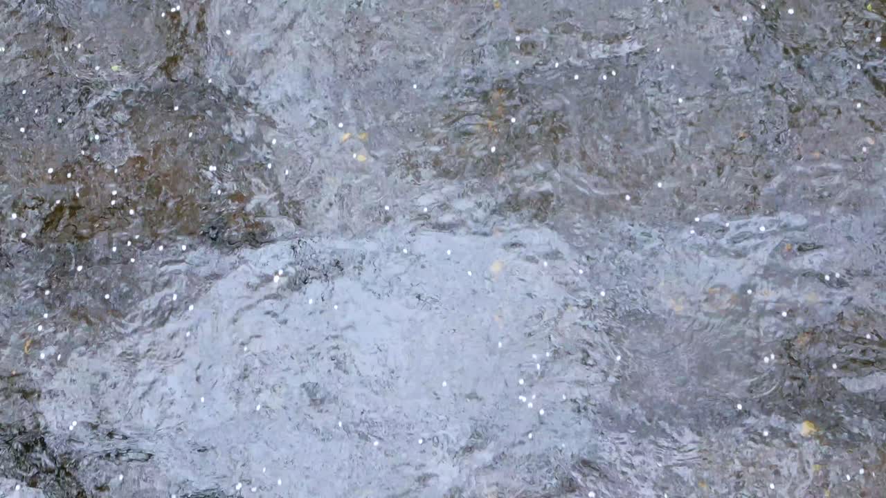 강 표면에 벚꽃이 있는 일본 도쿄 나카메구로 운하의 수면 전망