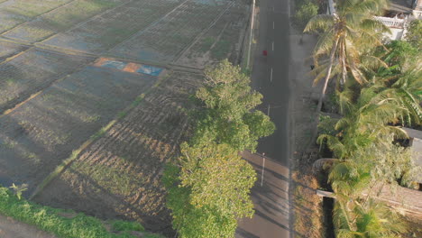 Disparo-De-Un-Dron-Sobre-Una-Carretera-En-Bali-Asia