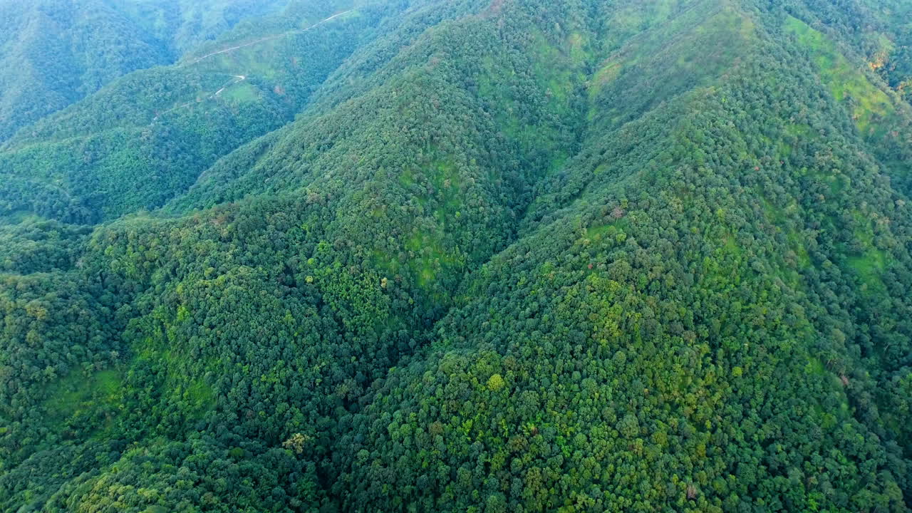 vista aérea de la montaña y el bosque.