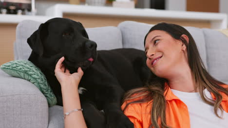 relax, dog and woman on couch