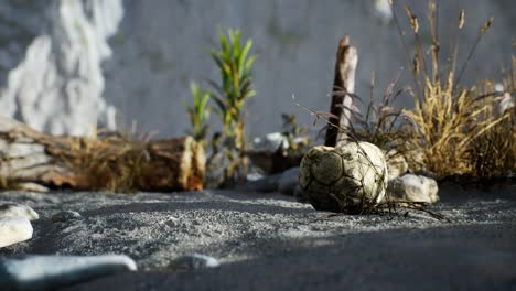 an old torn soccer ball thrown lies on sand of sea beach