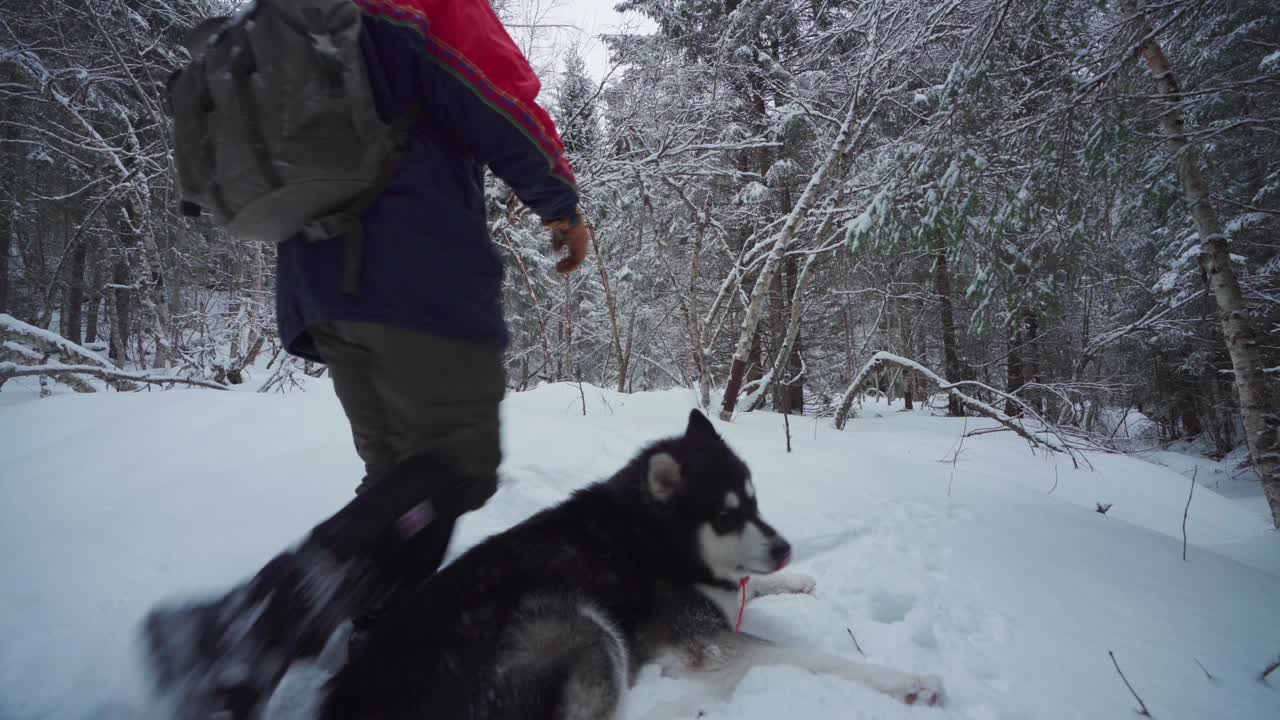 mochilero con su perro caminando por un bosque densamente cubierto de nieve