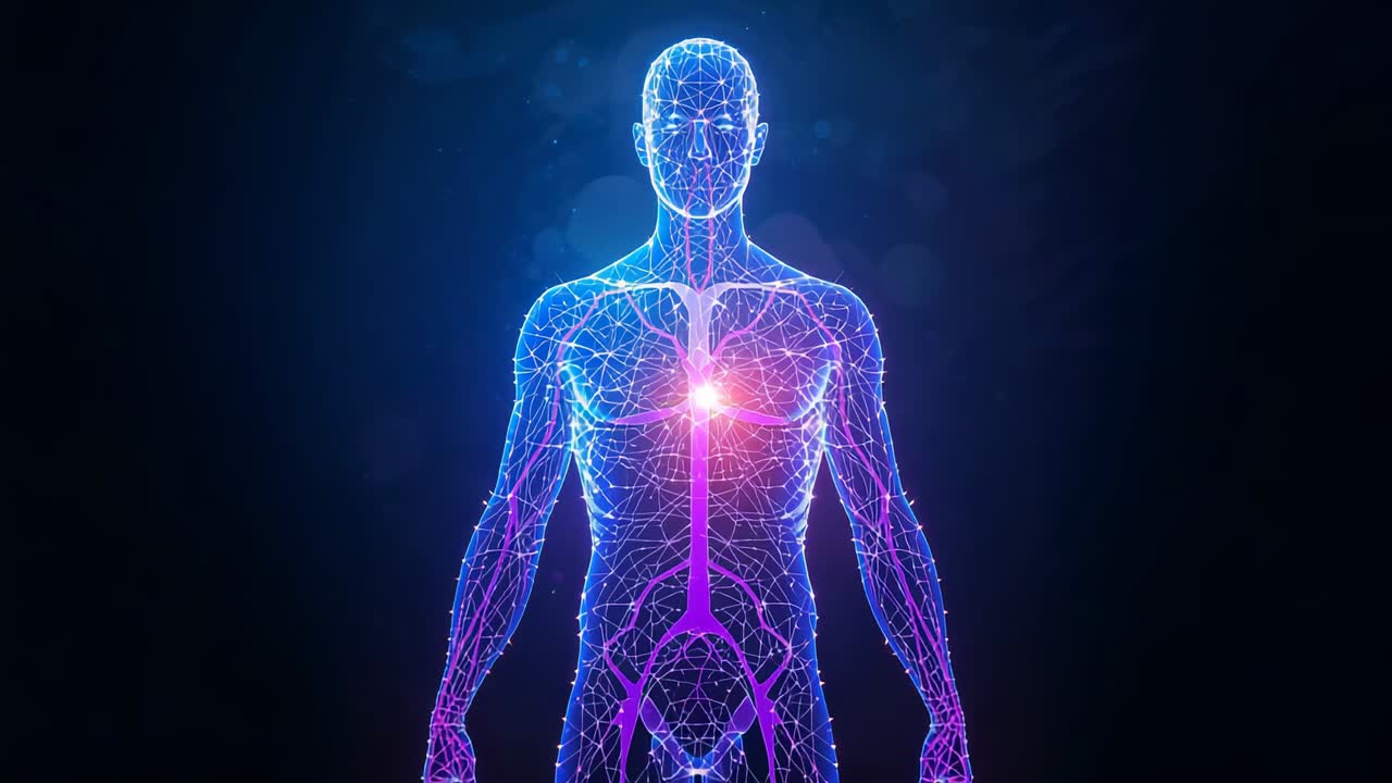 Fading wireframe torso initiating chest pulse tracing blue purple network lines in cyberspace