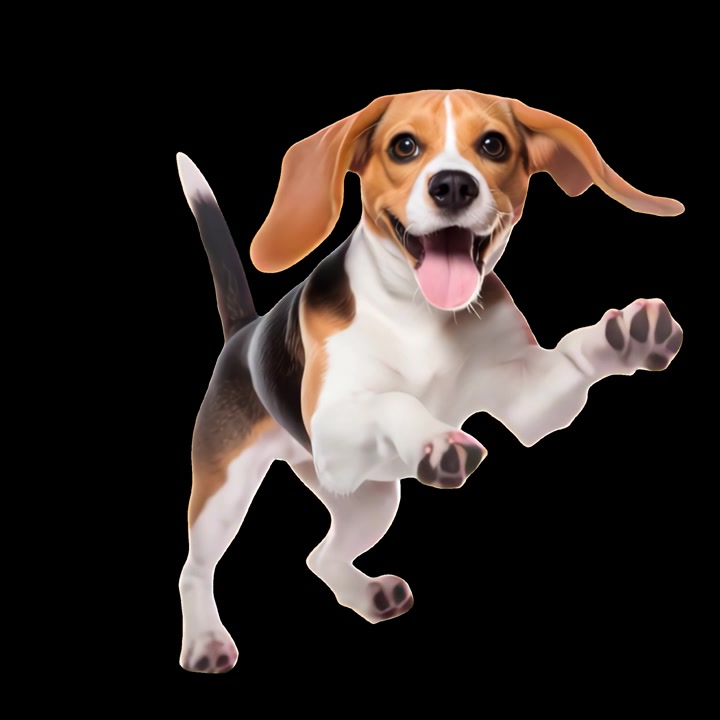 Cane Beagle Felice che Corre e Salta su Sfondo Nero