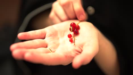 Nahaufnahme-Einer-Roten-Johannisbeere-Auf-Einer-Hand