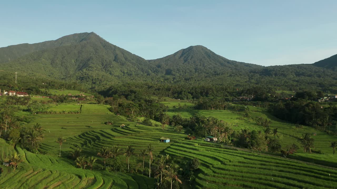 famosos campos de arroz tropical de bali con montañas cubiertas de selva, jatiluwih, antena