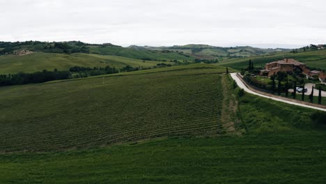 Aerial-view-of-Italy's-remote-wine-vineyards