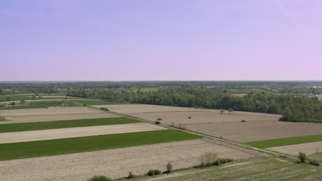 capturing areal footage of peoples working in field in spring, agricultural field with lots of wheat