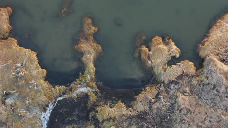 grassy shore of inland fresh water lake in reykjanes peninsula, top down