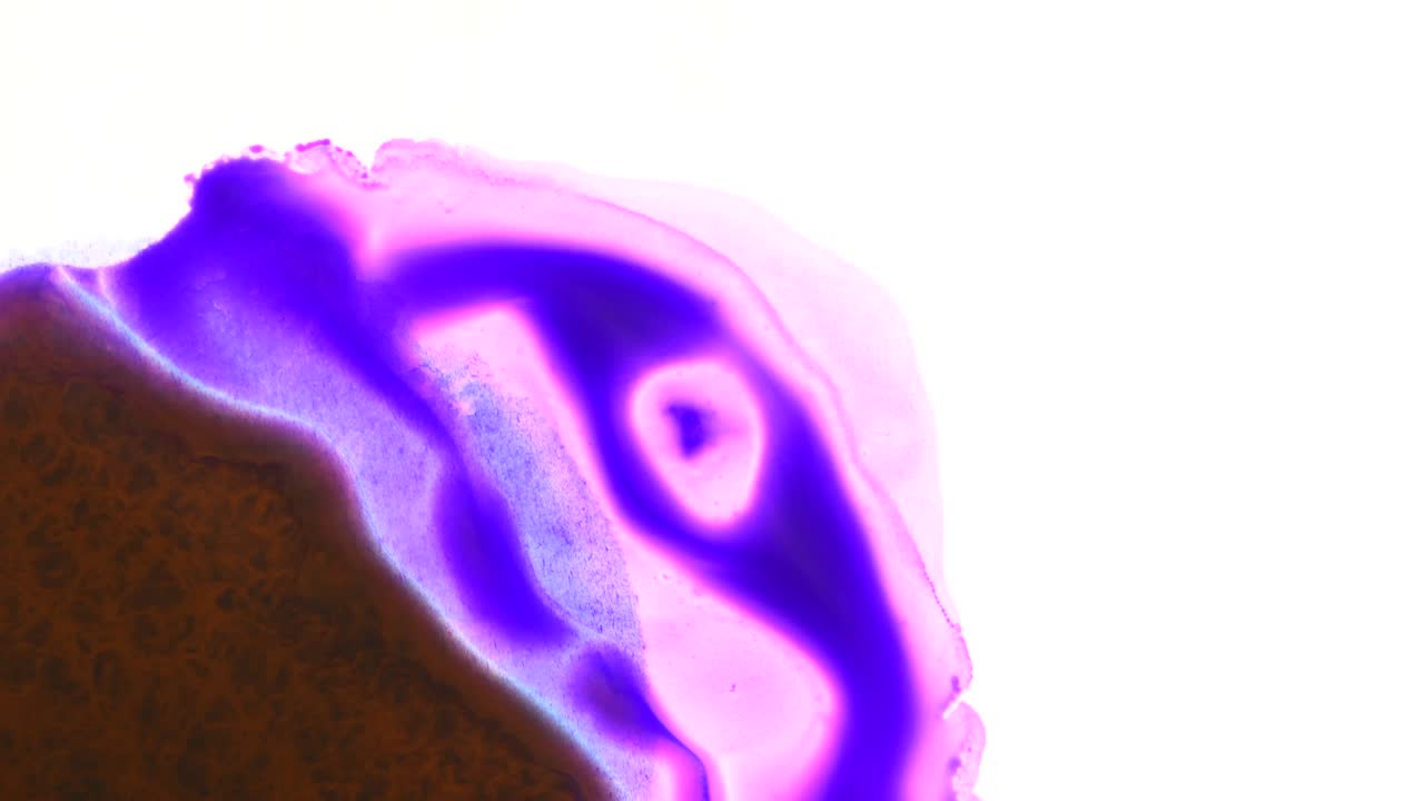 pink and purple top a brooding brown pulsing base