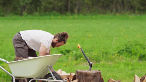 a guy is placing chopped woods over wheelbarrow