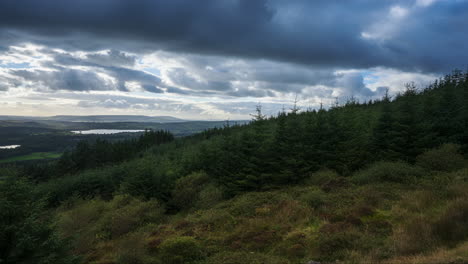 Zeitraffer-Einer-Ländlichen-Agrarlandschaft-Mit-See,-Wald-Und-Hügeln-An-Einem-Bewölkten-Tag,-Betrachtet-Von-Oben-Lough-Meelagh-In-Der-Grafschaft-Roscommon-In-Irland