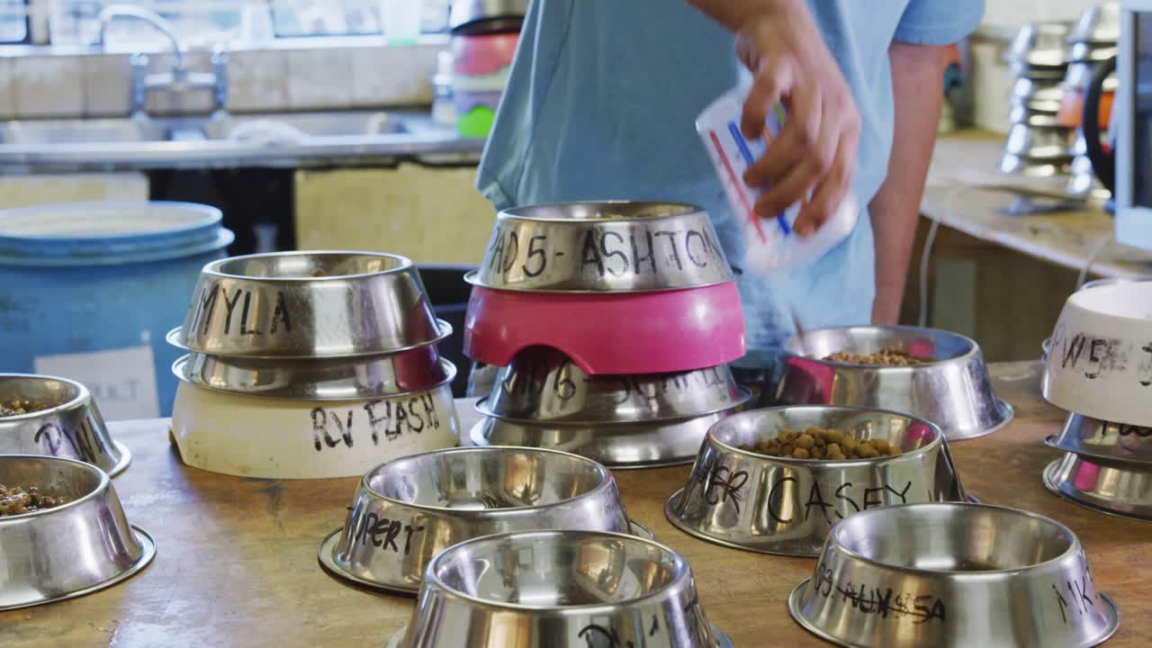 hombre voluntario en un refugio para perros