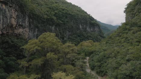 drone de panorámica aérea disparado sobre una pista de senderismo en un desfiladero rodeado de un bosque salvaje