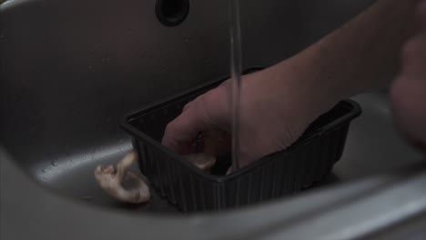 chef rinsing and washing shiitake mushrooms, food preparation