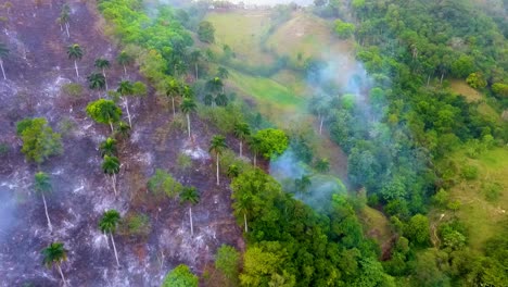 aerial view around deforestation caused by raging forest fires, in the tropical jungles of central africa - orbit, drone shot
