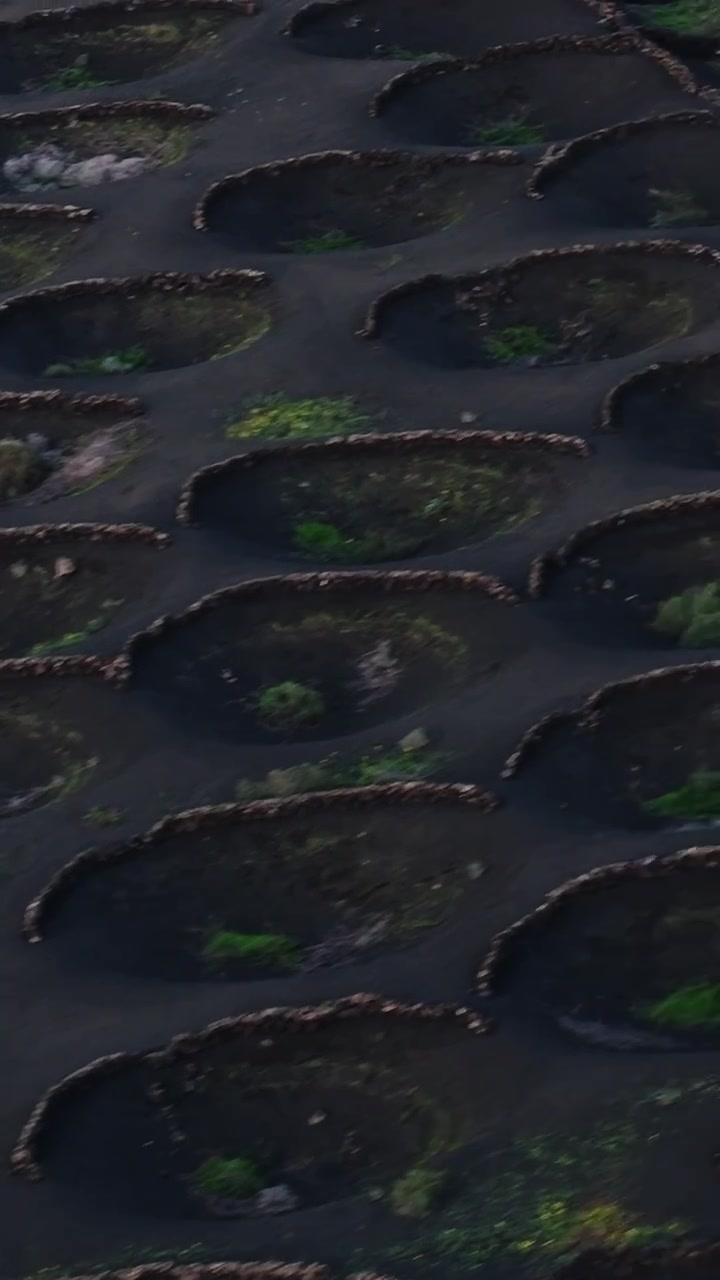 Unique farming land and road in Lanzarote, Spain